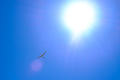 風に乗って
