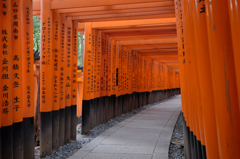 朱色の洞窟-下り-