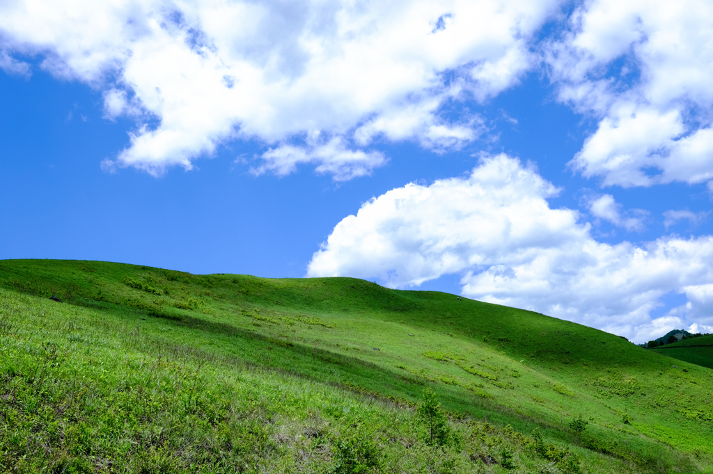 Windows XP?