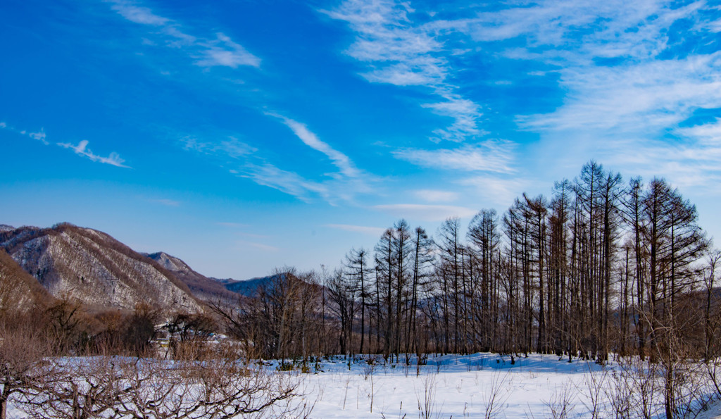 冬空