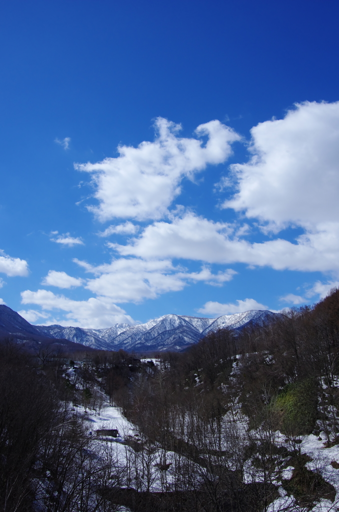 時々、大きな空を見上げたくて。