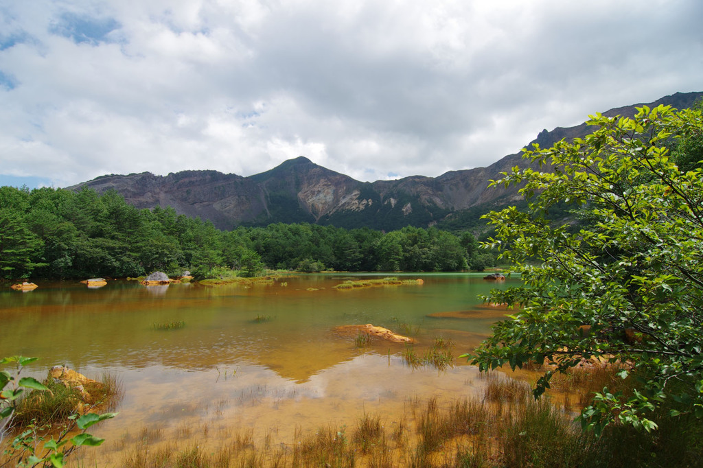 銅沼