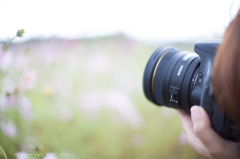 Sigma 50mm f1.4