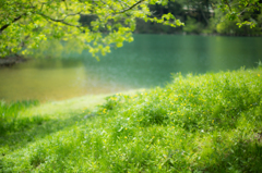 富山ー石川県境　蛇ヶ池