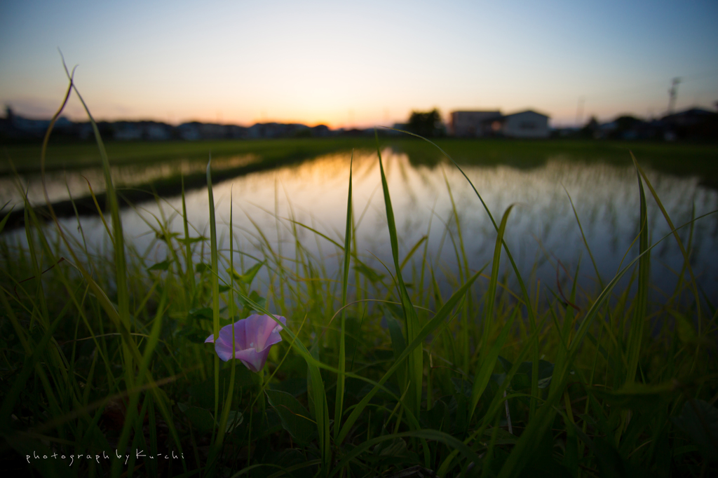 また明日