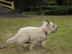 疾る！！