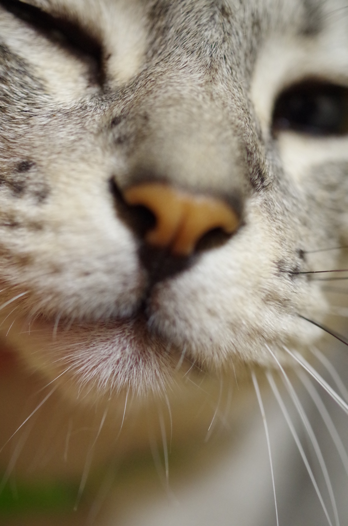 甘えたフクちゃん♪♪♪