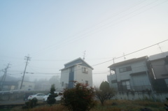 濃霧な朝