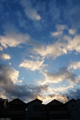 雨上がりの朝の空