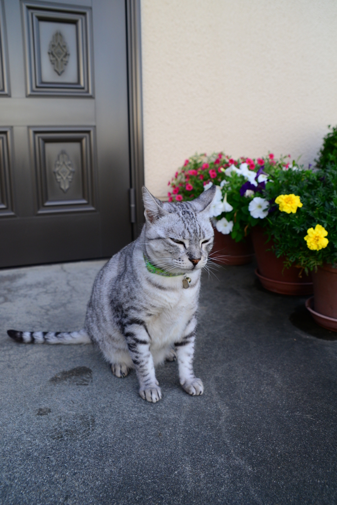 3630万画素での日常