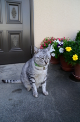 3630万画素での日常