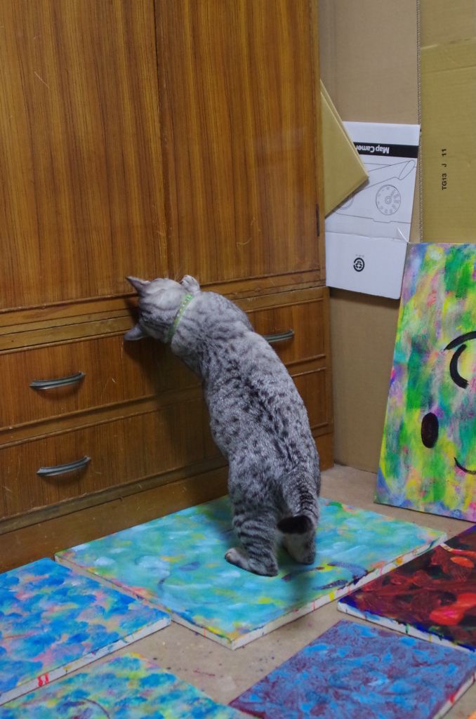 『開けたい開かない』