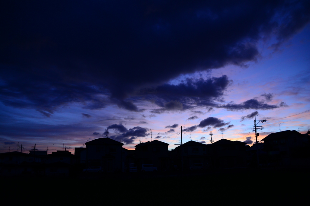 新しい(中古だけど)愛機で撮影♪♪♪