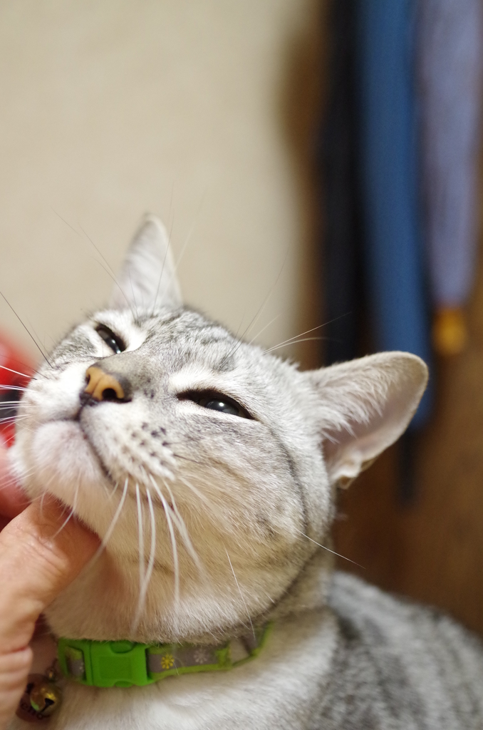 甘えたフクちゃん♪♪♪