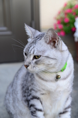 3630万画素の日常