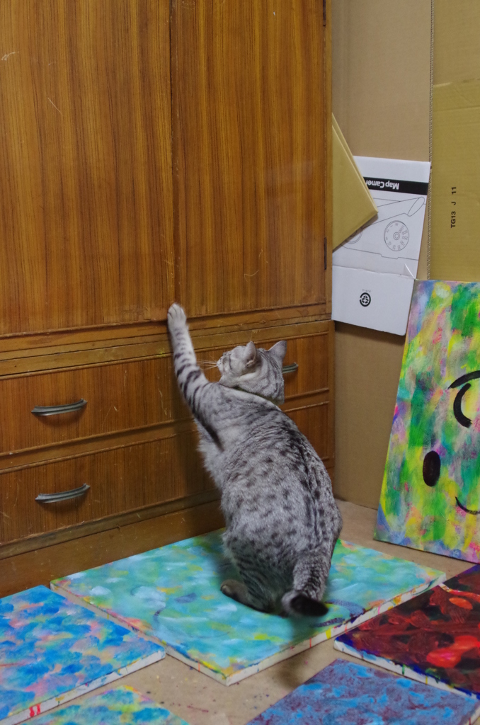 『開けたい開かない』