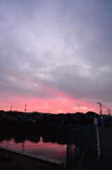 今朝の東の空はピンクだった♪♪♪