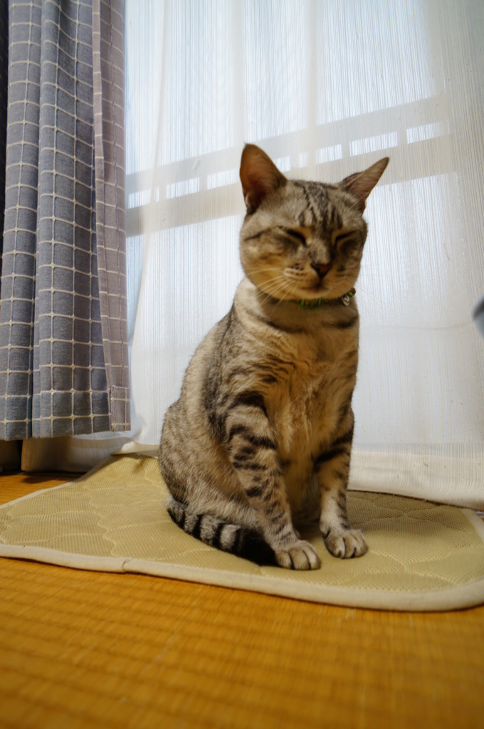 もうこれ以上は無いって程の寝起き。