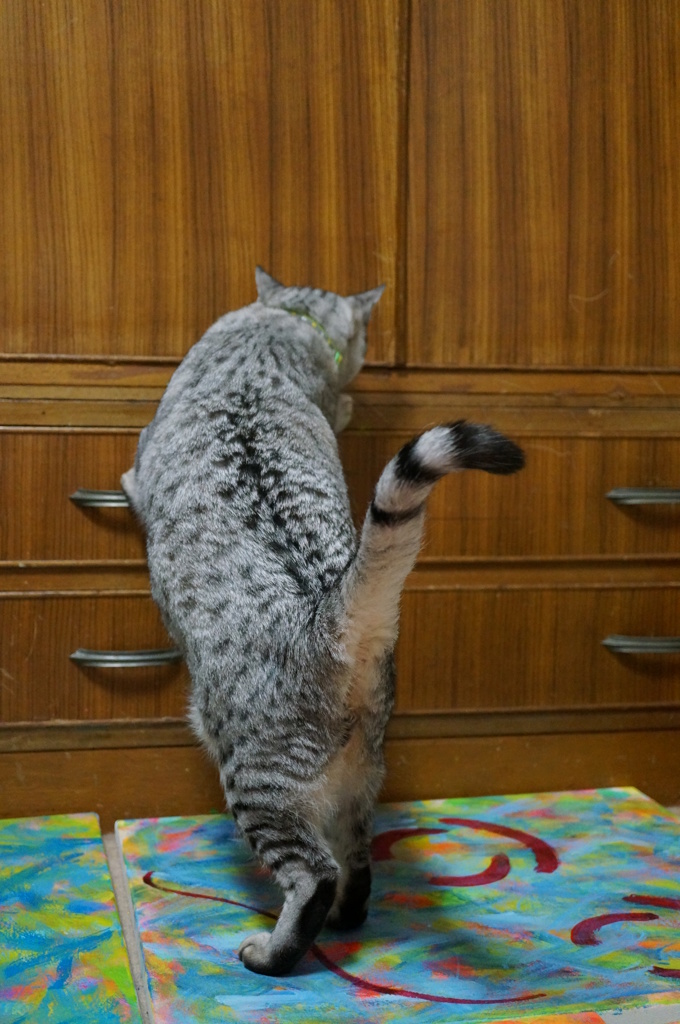 『今日の福太郎』