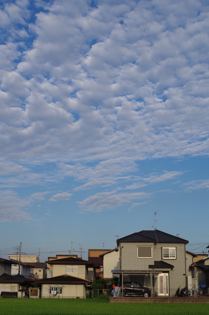8月なのに秋の空