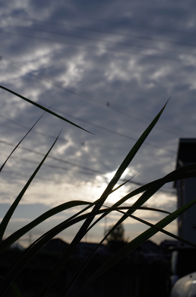 8月なのに秋の空