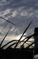 8月なのに秋の空