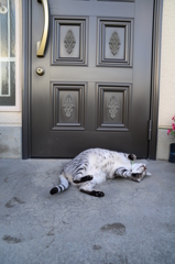 3630万画素での日常