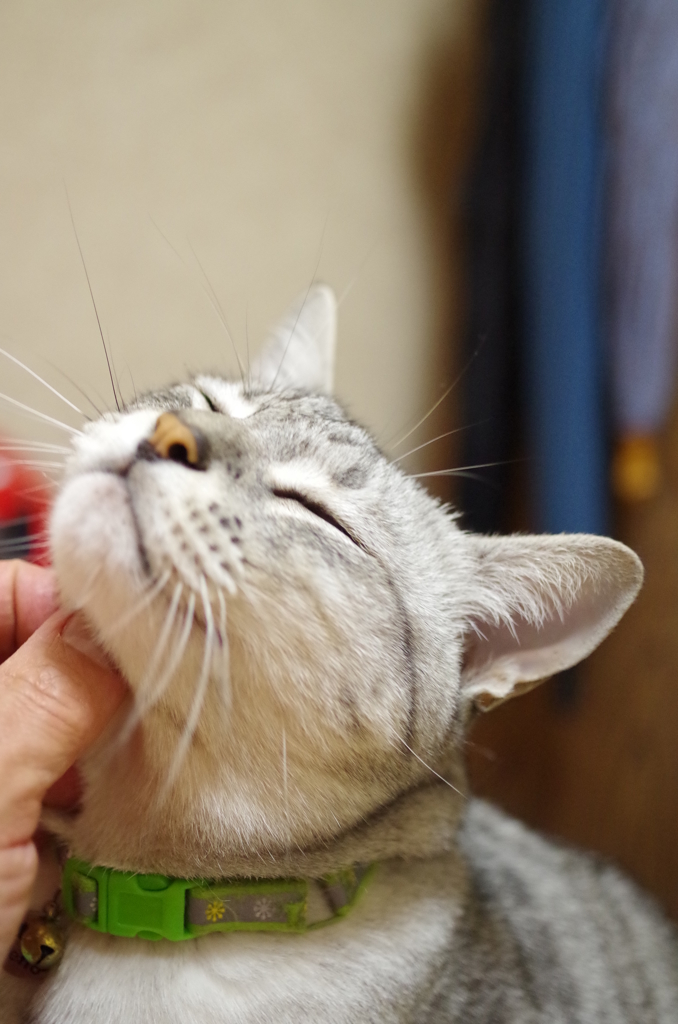 甘えたフクちゃん♪♪♪