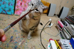 無邪気なおじさん♪♪♪