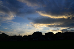 3630万画素での日常