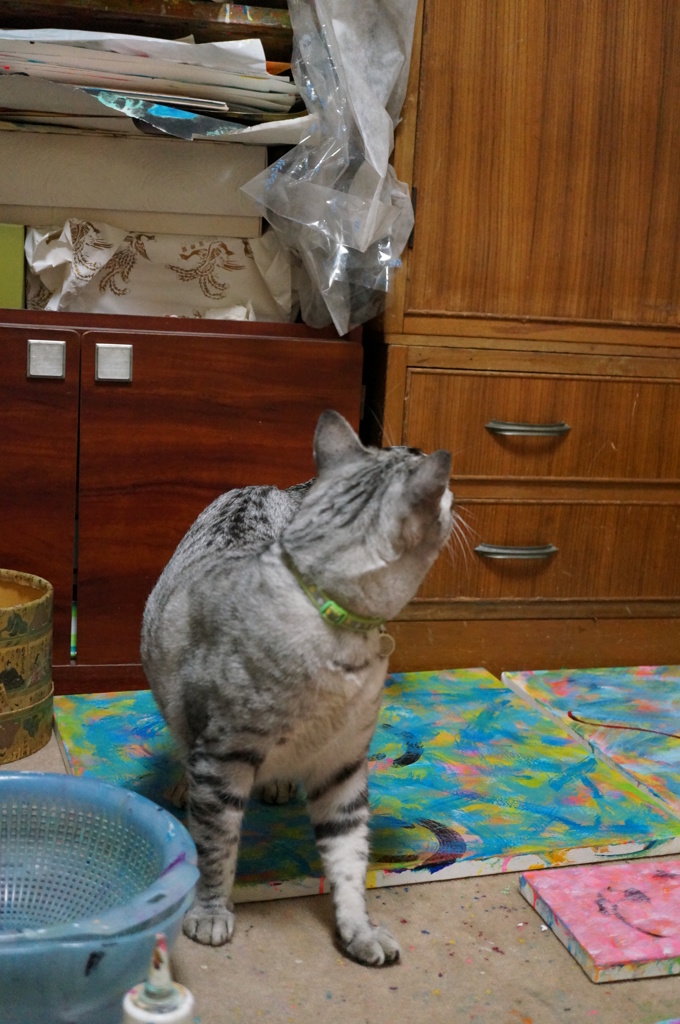 『今日の福太郎』