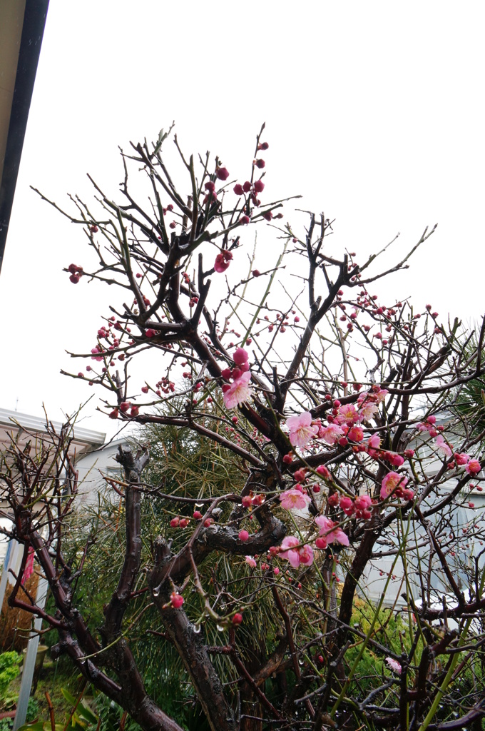 気が付いたら。