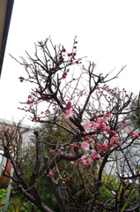 気が付いたら。