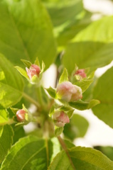 今年はやっぱり異常気象！？