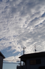 8月なのに秋の空