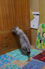 『開けたい開かない』