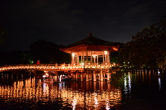なら燈花会2015