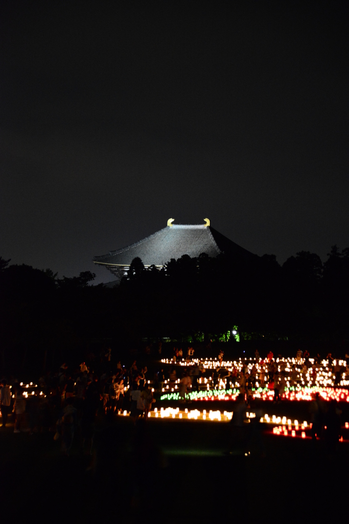 なら燈花会2015