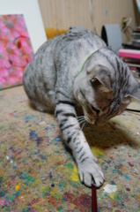 無邪気なおじさん♪♪♪