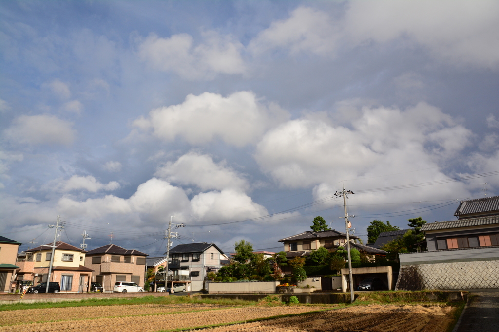 『束の間の陽射し』