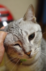 甘えたフクちゃん♪♪♪