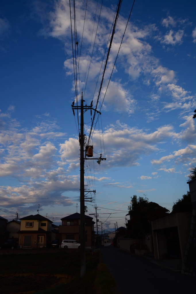 素晴らしき今朝の空♪♪♪