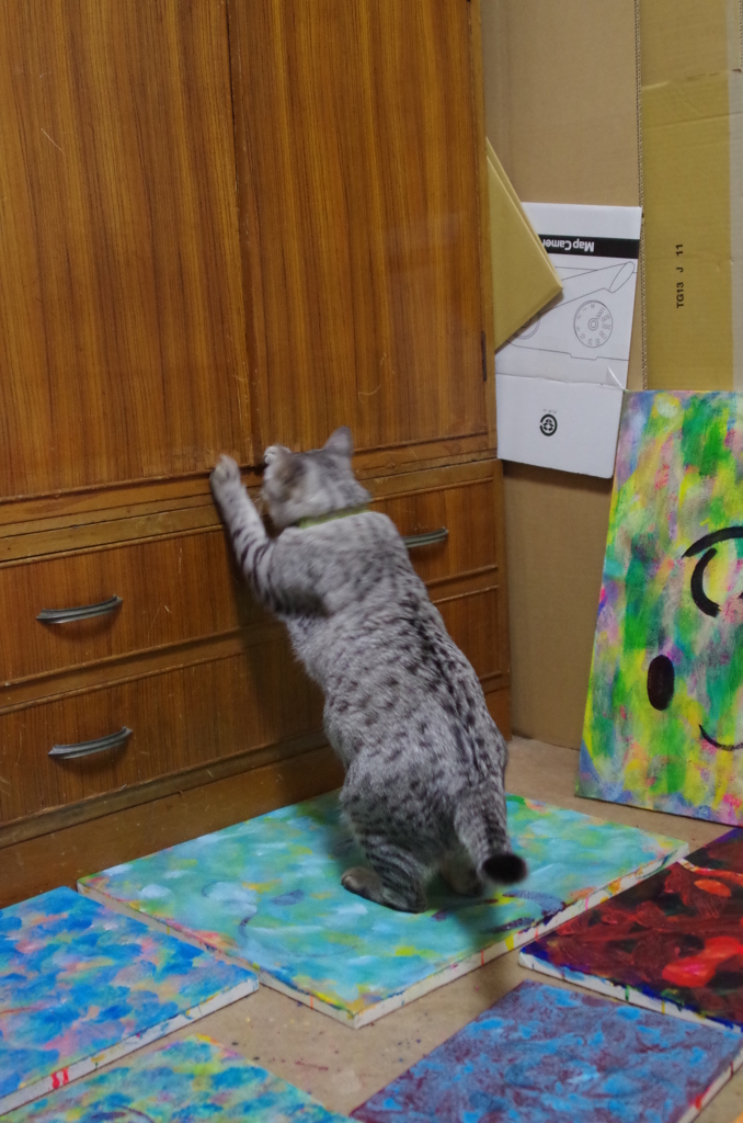 『開けたい開かない』