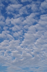 8月なのに秋の空