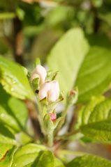 今年はやっぱり異常気象！？