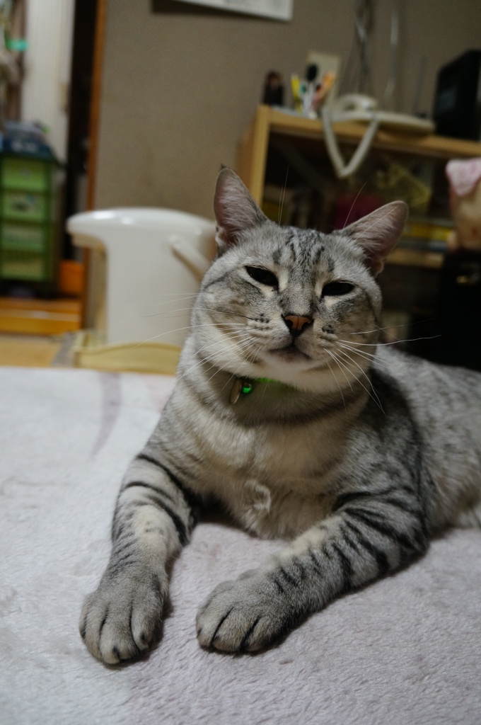 『上から目線』