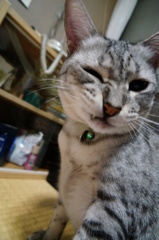 フクちゃんウィンク♪♪♪