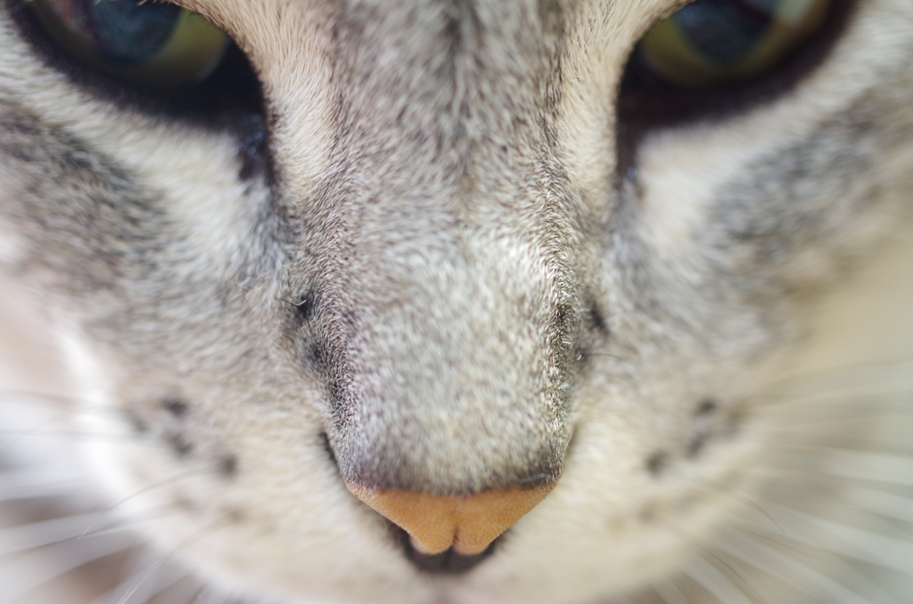 「近すぎ！！！」