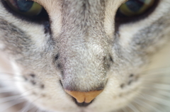 「近すぎ！！！」