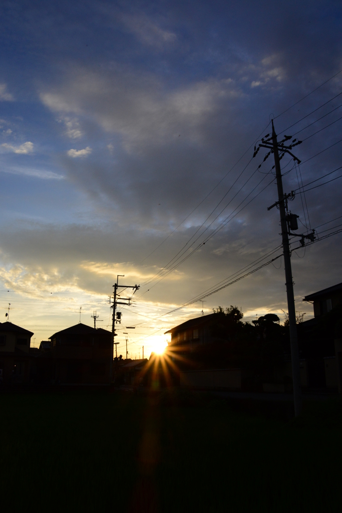 3630万画素の日常